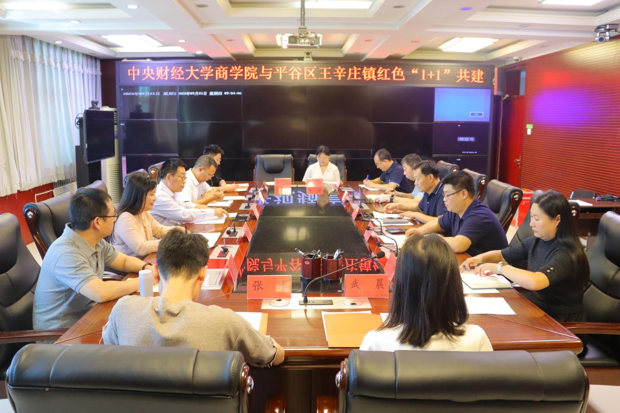 1PA视讯集团官网与王辛庄镇红色“1+1”共建对接会